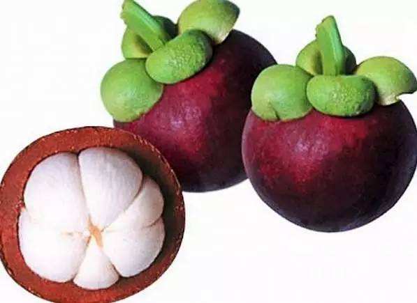 山竹-深圳市偉泰發(fā)餐飲管理有限公司