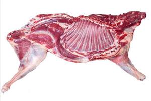 羊肉配送-深圳市偉泰發(fā)餐飲管理有限公司