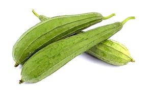 肉絲瓜-深圳市偉泰發(fā)餐飲管理有限公司