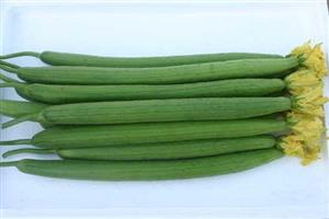 帶花水瓜-深圳市偉泰發(fā)餐飲管理有限公司