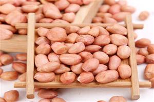 花生米-深圳市偉泰發(fā)餐飲管理有限公司