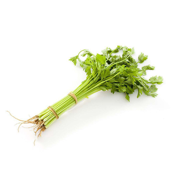 惠州蔬菜配送哪家好