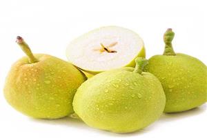 香梨-深圳市偉泰發(fā)餐飲管理有限公司