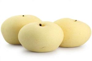 蜜梨-深圳市偉泰發(fā)餐飲管理有限公司