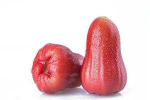 蓮霧-深圳市偉泰發(fā)餐飲管理有限公司