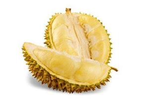 榴蓮-深圳市偉泰發(fā)餐飲管理有限公司