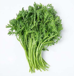 皇帝菜-深圳市偉泰發(fā)餐飲管理有限公司