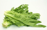 油麥菜-深圳市偉泰發(fā)餐飲管理有限公司