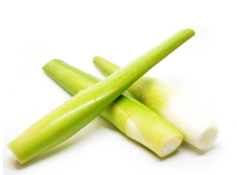 水筍-深圳市偉泰發(fā)餐飲管理有限公司