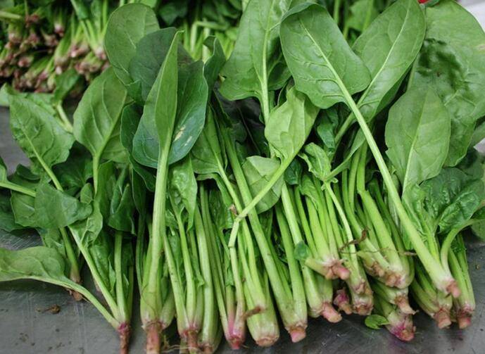 99999.jpeg 99999.jpeg